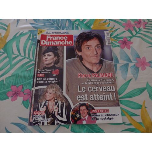 France Dimanche 4081 : Pierre Palmade - Le Cerveau Est Atteint !