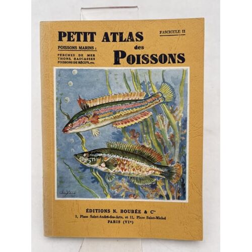 Petit Atlas Des Poissons. Poissons Marins. Perches De Mer, Thons, Rascasses, Poissons De Récifs, Etc