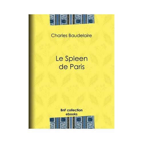 Le Spleen De Paris
