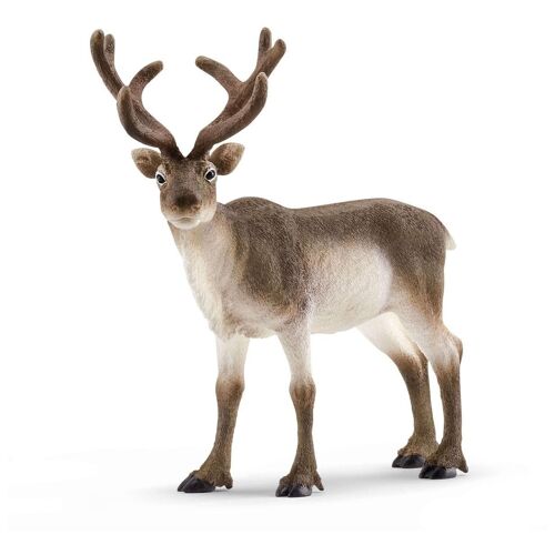 Schleich Wild Life Renne