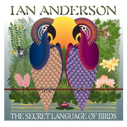 The Secret Language Of Birds - Vinyle