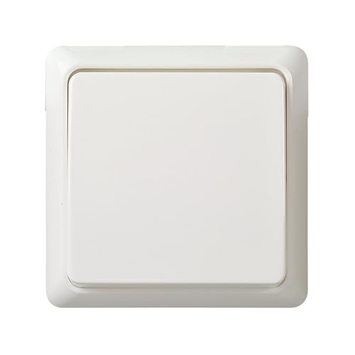 ELSO Bouton poussoir 10A complet RENOVATION borne à vis blanc pur, Bouton + interrupteur, Blanc
