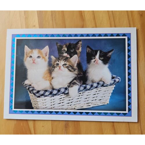 Carte Postale Chats