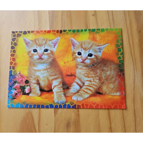 Carte Postale Chats
