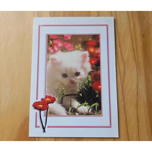 Carte Postale Chat