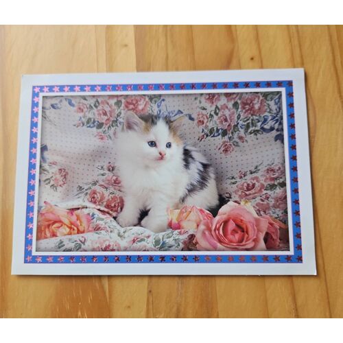 Carte Postale Chat