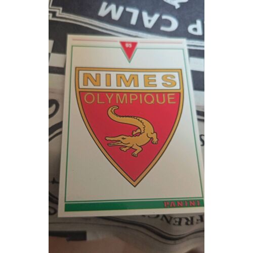 Image Panini Nimes