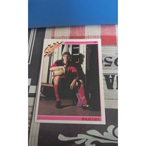 Image Panini Stars