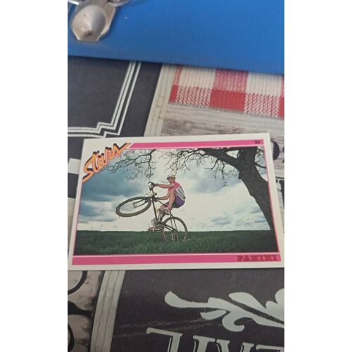 Image Panini Stars