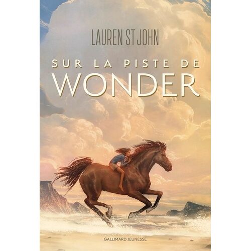 Sur La Piste De Wonder