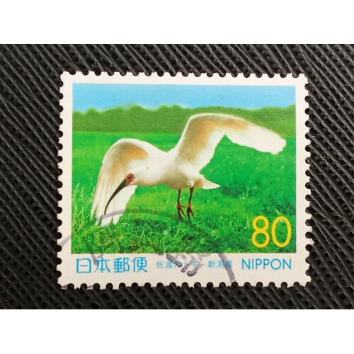 Timbre Japon Y T 2598 Ibis Nippon (Nipponia Nippon) 1999 (020710 )