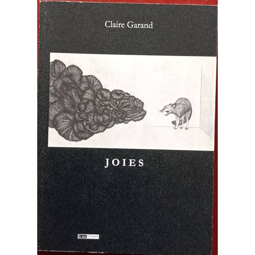 Joies - La Tête À L'Envers Par Claire Garand ( Mondial Livre, Mars 2025 ).