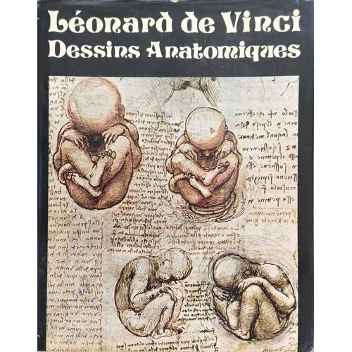 Léonard De Vinci : Dessins Anatomiques