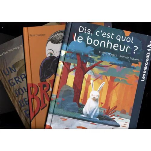 3 Livres Dans Le Cadre Des "Mercredis À Lire" : Dis, C'est Quoi Le Bonheur? (Balivernes) ; Brindille (Milan) ; Un Grand Jour De Rien (Trapèze)