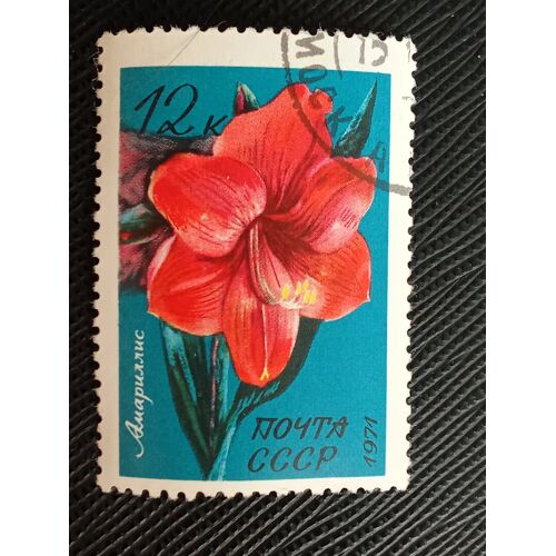 Timbre Russie - Urss Y T 3794 Fleurs Tropicales, Amaryllis 1971 (030710 )
