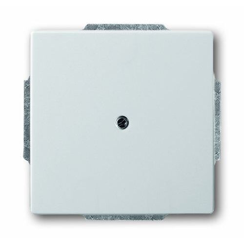 ABB Busch-Jaeger Pure Stainless Steel Control Element/Central Plate Switchgear - 2CKA001710A3751
