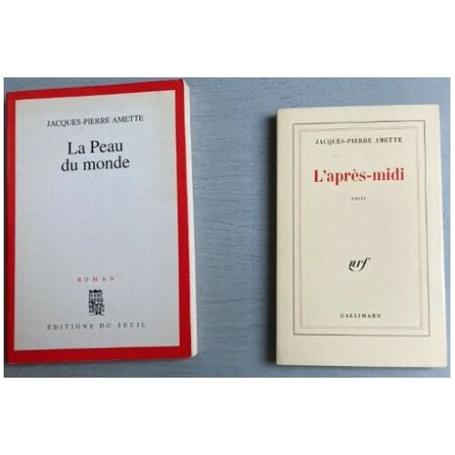 2 Livres De Jacques-Pierre Amette : L'Après-Midi (Gallimard) - La Peau Du Monde (Seuil)