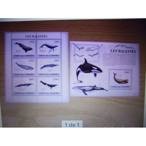 56 Comores 2009 / Fauna Faune Ballenas Baleines / Yvert 1501 / 06 + Bloc 165 ** Mnh