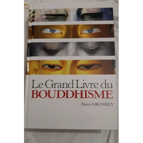 Le Grand Livre Du Bouddhisme