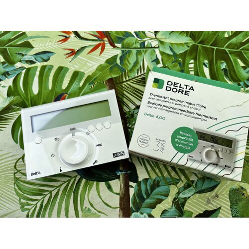 Thermostat programmable Deltia 8.00