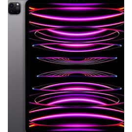 Ipad pro 12.9 M2 6eme generation 256gb wifi cellular Batterie 100%