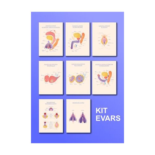 Kit Anatomiques Evars - Les Organes Sexuels