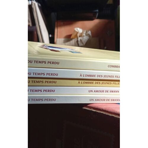 A La Recherche Du Temps Perdu Delcourt 5 Tomes De 1 A 5