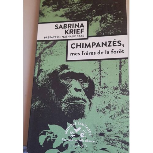 Chimpanzés Mes Frères De La Forêt