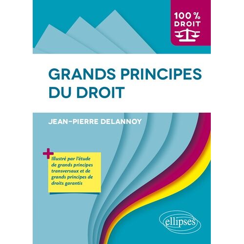 Grands Principes Du Droit