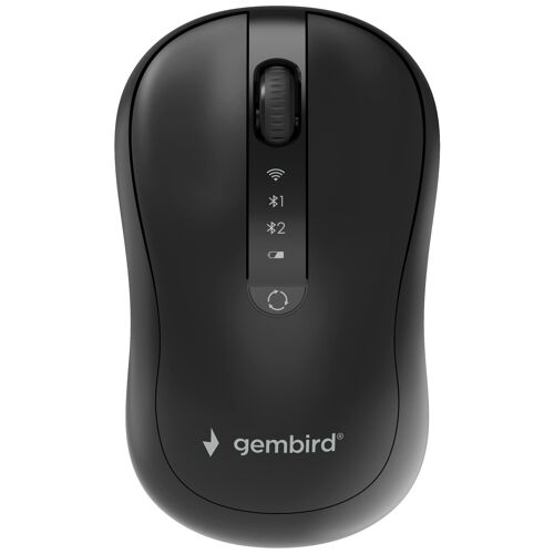 Gembird MUSW2-4B-01 souris Maison Ambidextre RF sans fil + Bluetooth Optique 1600 DPI