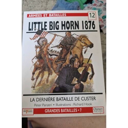 Little Big Horn 1876