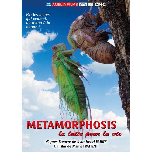 Metamorphosis - La Lutte Pour La Vie