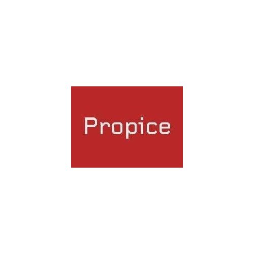Propice , Une Nouvelle Génération D Artistes En France - Journal De L' Exposition Du 9 Au 30 Septembre 1999 Espace Paul Ricard Paris - Une Exposition Conçue Par La Critique D?Art Catherine Francblin
