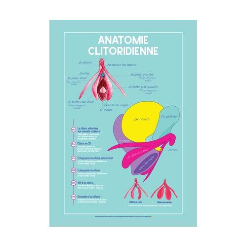 Planche Anatomique Du Clitoris
