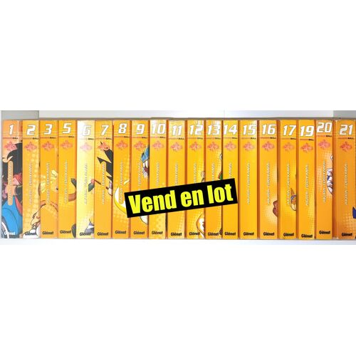Dragon Ball : 19 Tomes (Sur 21)