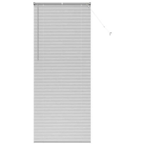 Vidaxl 42005944 Store De Fenêtre Argent