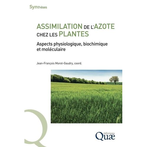 Assimilation De L'azote Chez Les Plantes - Aspects Physiologique, Biochimique Et Moléculaire