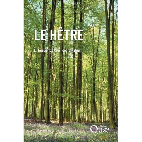 Le Hêtre