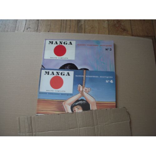 Manga Bandes Dessinees Erotiques