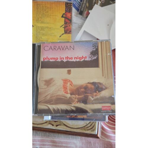 Caravan Plump In The Night