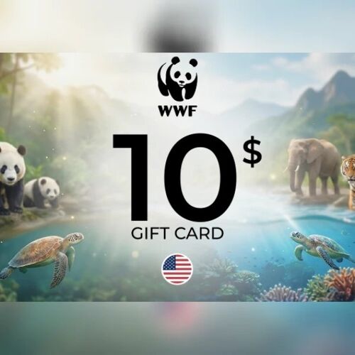 WWF Gift Card 10 USD Key - UNITED STATES