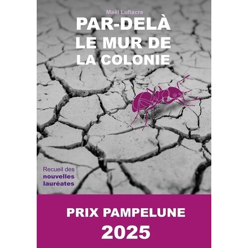 Par-Delà Le Mur De La Colonie