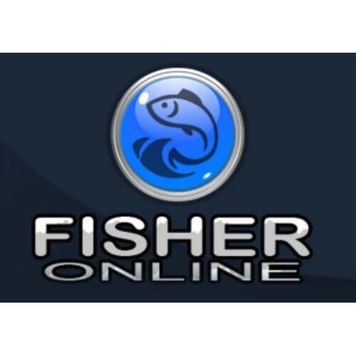 theFisher Online (PC) Steam Gift - EU