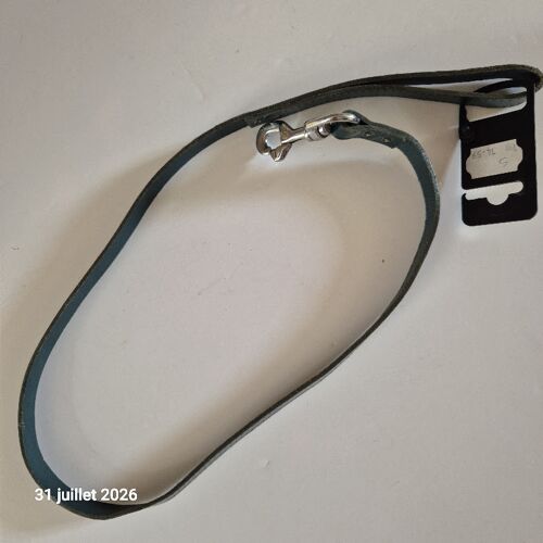 Laisse Pour Chien En Cuir Rive Simple Couleur Verte, 2 Cm X 100 Cm