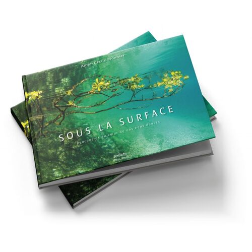 Sous La Surface (Rencontres Au Coeur De Nos Eaux Douces)