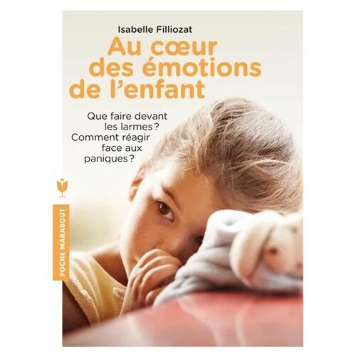 Au C?ur Des Émotions De L'Enfant Isabelle Filliozat.