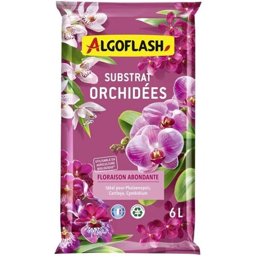 Substrat De Rempotage Pour Orchidées Algoflash 6 L Mélange Aéré À L¿Écorce De Pin