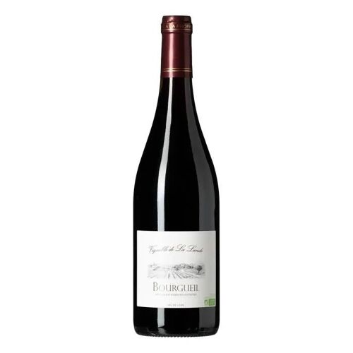 Vin Rouge Aoc Bourgueil 2019 Bio Ab Vignoble De La Lande 75 Cl