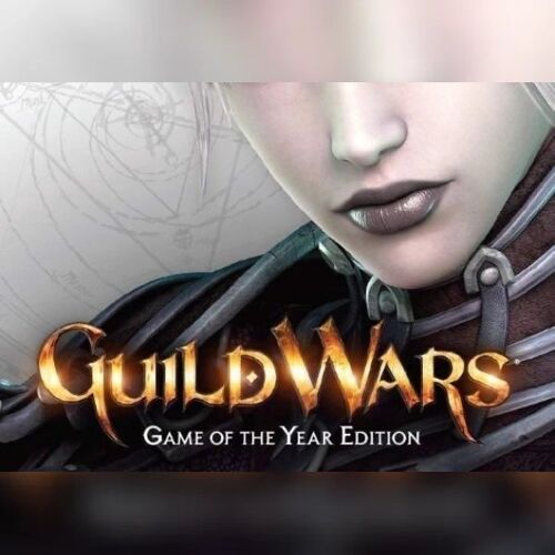 Guild Wars Game of the Year Edition (PC) Official website Key - GLOBAL