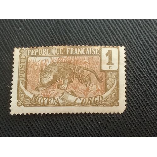 Timbre Moyen-Congo Y T 48 Léopard (Panthera Pardus) 1907 (010810 )